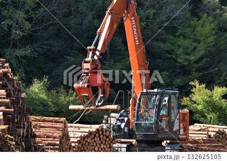 山間部の材木収集所　丸太積みの作業風景　 132625105