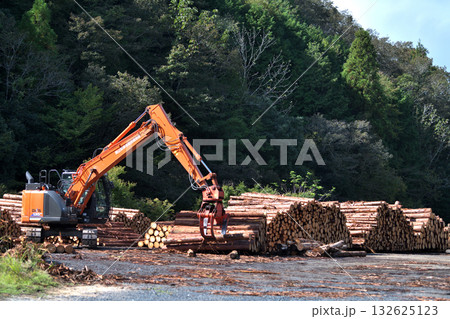 山間部の材木収集所　丸太積みの作業風景　 132625123