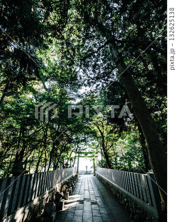 神戸市東灘区岡本の高台にある保久良神社の周辺　鬱蒼とした森で森林浴 132625138