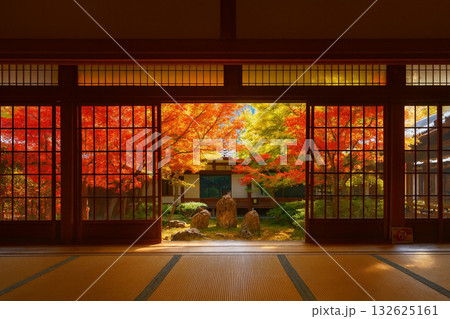 建仁寺 潮音庭 額縁庭園 紅葉 建仁寺 潮音庭 額縁庭園 紅葉 132625161