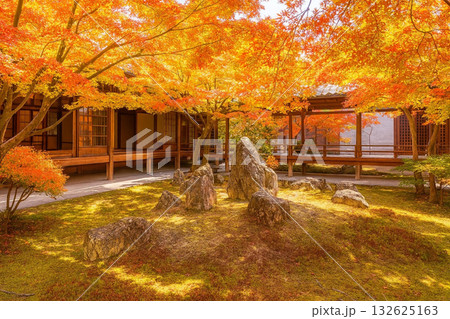 建仁寺 潮音庭 額縁庭園 紅葉 建仁寺 潮音庭 額縁庭園 紅葉 132625163