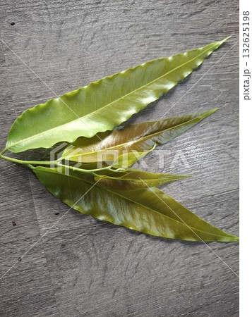 Close-up of vibrant green leaves with serrated edges, showcasing intricate veins and a textured surface Close-up of vibrant green leaves with serrated edges, showcasing intricate veins and a textured surface 132625198