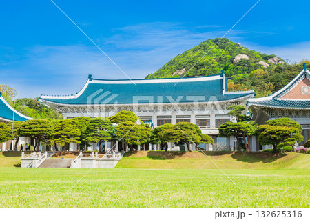 ソウル　韓国大統領府　青瓦台（チョンワデ） 132625316