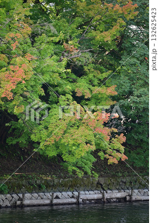 高岡古城公園の初秋 高岡古城公園の初秋 132625423