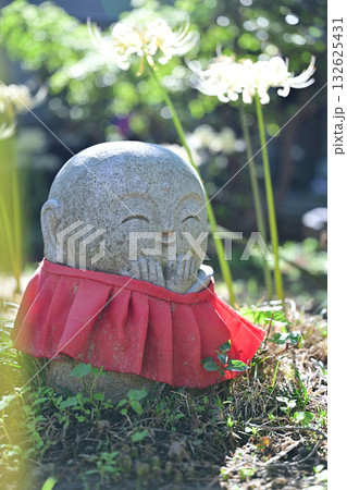 金沢・香林寺の白い彼岸花 132625431