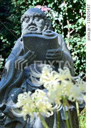 金沢・香林寺の白い彼岸花 132625437