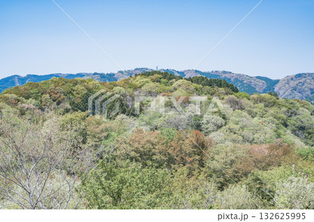 茨城　助川山山頂から高鈴山方面（日立市） 132625995