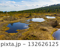 Peat Bog Landscape, Izera Mountains, Czech Republic 132626125