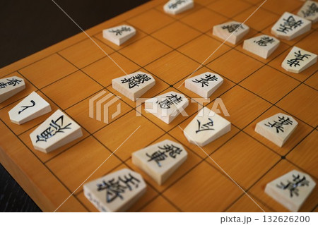 将棋(第73期王座戦第3局投了棋譜) 将棋(第73期王座戦第3局投了棋譜) 132626200