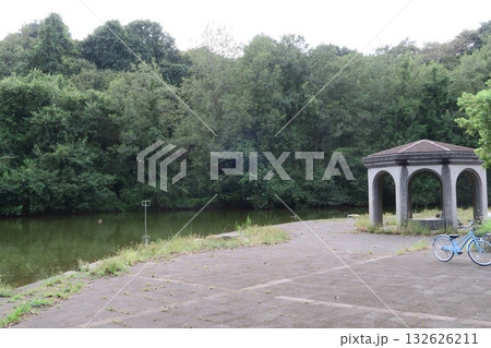 さいたま市岩槻区の岩槻文化公園の村国池の風景 132626211