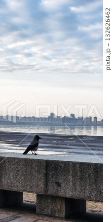 Crow perched on concrete ledge near frozen lake, overlooking city skyline. Cloudy sky enhances the winter scene. Vertical photo Crow perched on concrete ledge near frozen lake, overlooking city skyline. Cloudy sky enhances the winter scene. Vertical photo 132626462