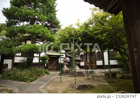 東福寺境内にある桂昌院のお庭2 132626747