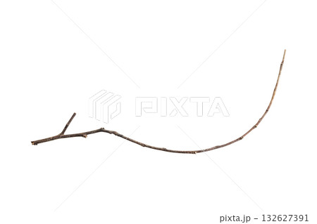 Dry tree branches isolated on white background Dry tree branches isolated on white background 132627391