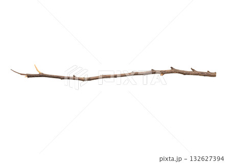 Dry tree branches isolated on white background 132627394