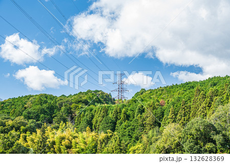 高槻市原地区の山林風景 高槻市原地区の山林風景 132628369