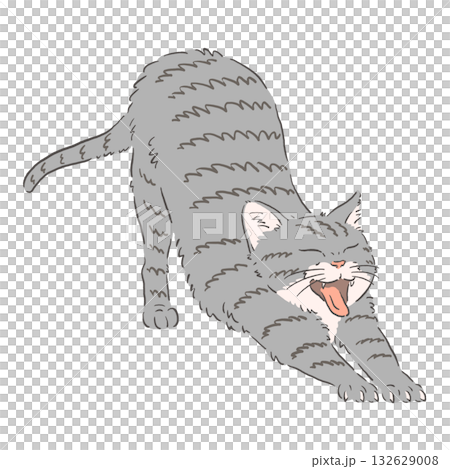 Illustration of a stretching tabby cat Illustration of a stretching tabby cat 132629008