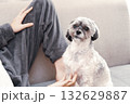 気持ち良さそうに撫でられる犬 132629887