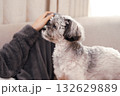 気持ち良さそうに撫でられる犬 132629889
