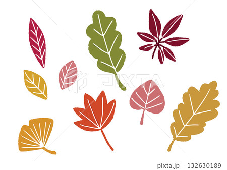 手描きの可愛い秋の落ち葉のイラスト 132630189