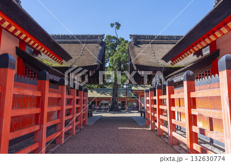 住吉大社 本殿 住吉造 住吉大社 本殿 住吉造 132630774