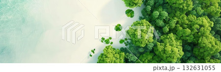 Aerial view of green trees and white sand beach 132631055