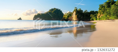 Stunning view of a picturesque tropical beach with turquoise blue waters white sand and lush green palm trees and vegetation  The scene is bathed in warm golden sunlight 132631272