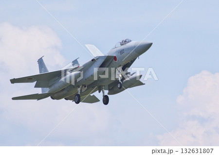 着陸態勢の第303飛行隊のF-15J 着陸態勢の第303飛行隊のF-15J 132631807