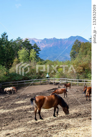 長野県　木曽馬の里 132632009