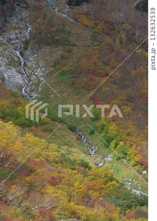 秋の上高地の風景~槍穂高登山道(槍沢ルート沿い)の紅葉見頃となったカラフルな紅葉並木道 秋の上高地の風景~槍穂高登山道(槍沢ルート沿い)の紅葉見頃となったカラフルな紅葉並木道 132632539