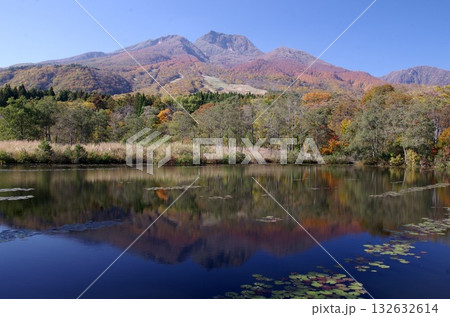 いもり池から見た紅葉の妙高山 132632614