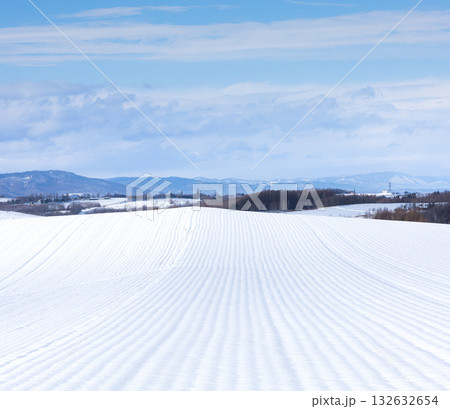 冬の北海道美瑛町の雪が積もった畑の風景 132632654