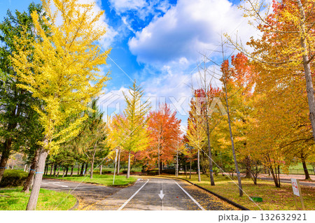 秋　みちのく湖畔公園　紅葉とコキアと古民家 132632921