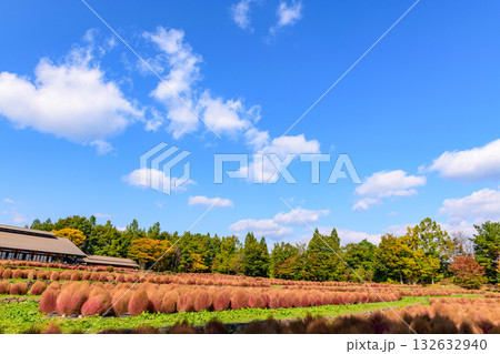 秋 みちのく湖畔公園 紅葉とコキアと古民家 秋 みちのく湖畔公園 紅葉とコキアと古民家 132632940