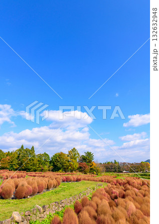秋　みちのく湖畔公園　紅葉とコキアと古民家 132632948