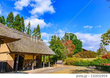秋　みちのく湖畔公園　紅葉とコキアと古民家 132632959