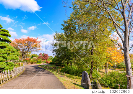 秋 みちのく湖畔公園 紅葉とコキアと古民家 秋 みちのく湖畔公園 紅葉とコキアと古民家 132632966