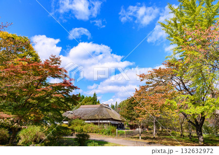 秋　みちのく湖畔公園　紅葉とコキアと古民家 132632972