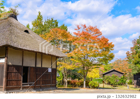 秋　みちのく湖畔公園　紅葉とコキアと古民家 132632982