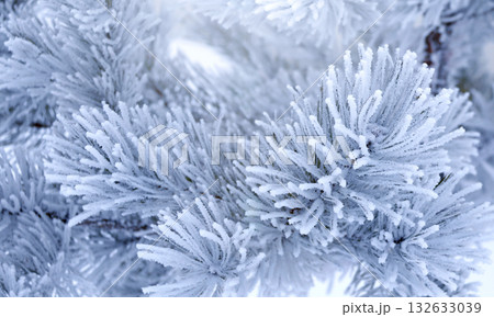 Holiday winter banner with frozen branches of fir tree. Horizontal Christmas background with pine branch, covered with frost. Festive banner featuring a frosted fir branch. Photo toned in blue color 132633039
