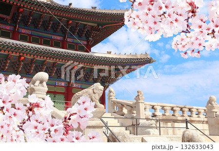 Sakura flowers and stone figures of mythical creatures, Geunjeongjeon Hall, Gyeongbokgung Palace Complex, Seoul, South Korea. Main throne hall and branch of blooming sakura, Republic of Korea Sakura flowers and stone figures of mythical creatures, Geunjeongjeon Hall, Gyeongbokgung Palace Complex, Seoul, South Korea. Main throne hall and branch of blooming sakura, Republic of Korea 132633043