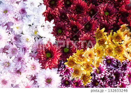 水に浮かぶ花 水に浮かぶ花 132633246