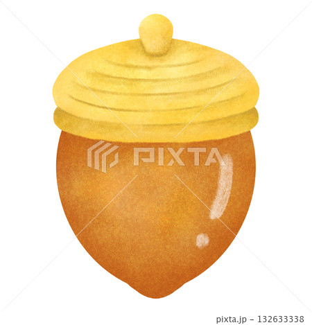 どんぐり 132633338