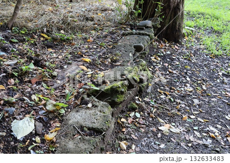 宮城県仙台市太白区越路から見た広瀬川と周辺の景色 132633483