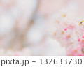 春の光に包まれた幻想的な桜 132633730