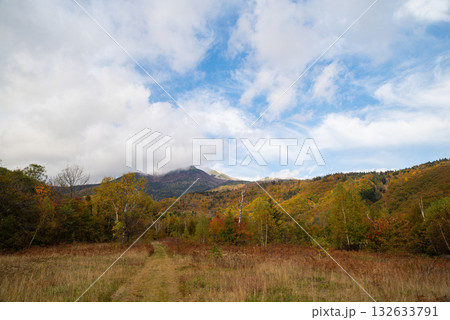 紅葉する森 乗鞍高原 紅葉する森 乗鞍高原 132633791