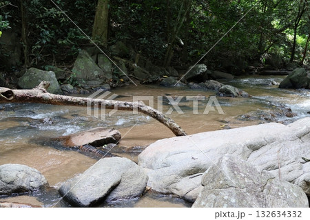 white wooden chair on the edge of a garden white wooden chair on the edge of a garden 132634332