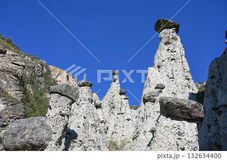 Stone mushrooms of the Akkurum tract in the Altai Reserve Stone mushrooms of the Akkurum tract in the Altai Reserve 132634400
