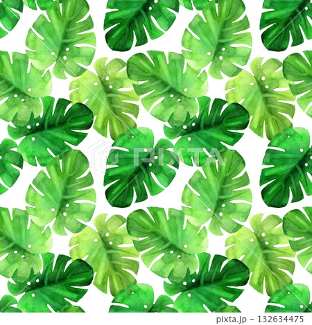 Seamless pattern Illustration featuring hand-drawn watercolor Monstera leaves scattered on white background Seamless pattern Illustration featuring hand-drawn watercolor Monstera leaves scattered on white background 132634475