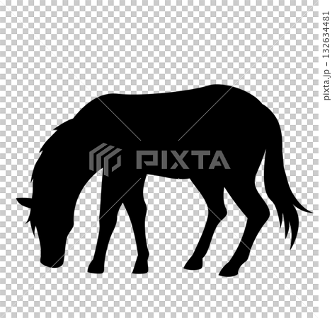 Silhouette illustration of a eating horse Silhouette illustration of a eating horse 132634481