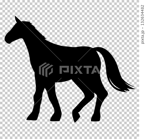 Walking horse silhouette illustration 132634482